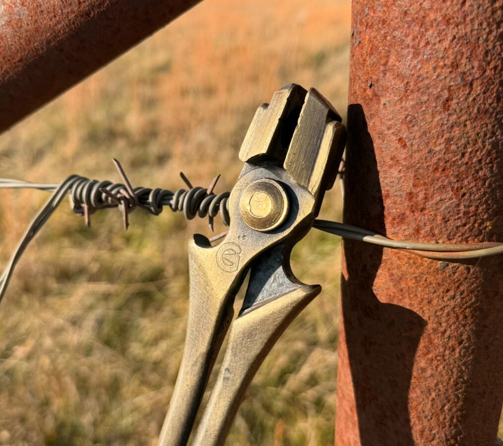 Tongs